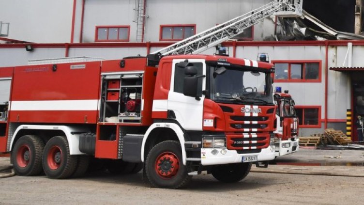 Снимка: Булфото, архив