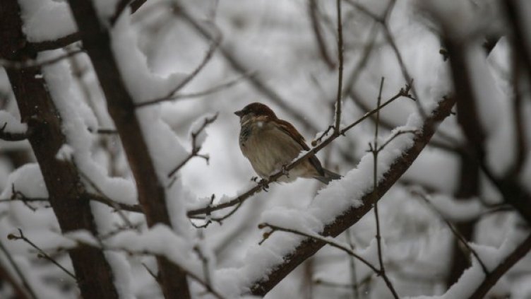 Снимка: архив Reuters