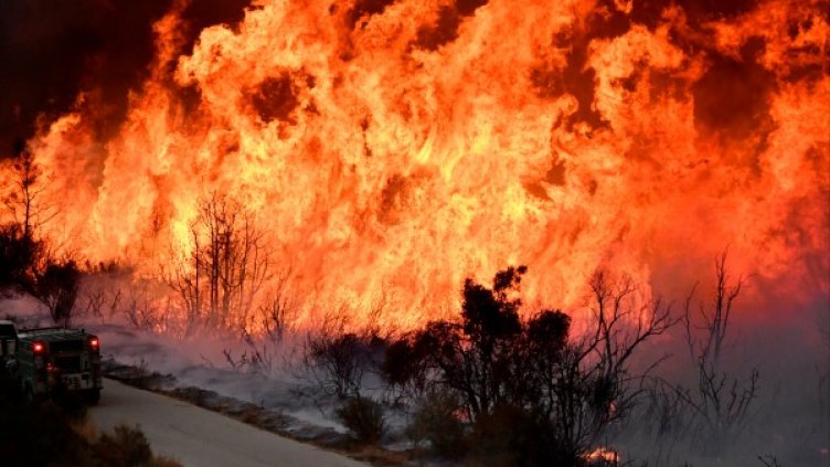 Снимка: Reuters