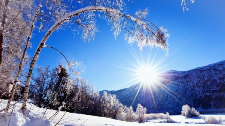 Снимка: flickr