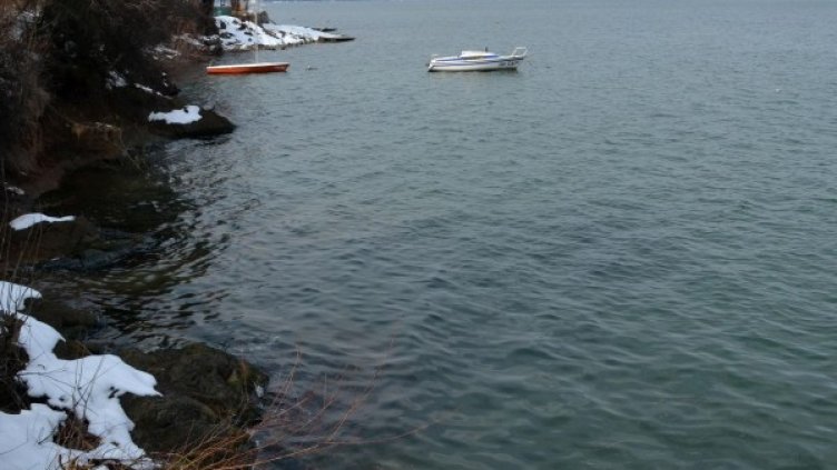 Снимка: архив "Булфото"