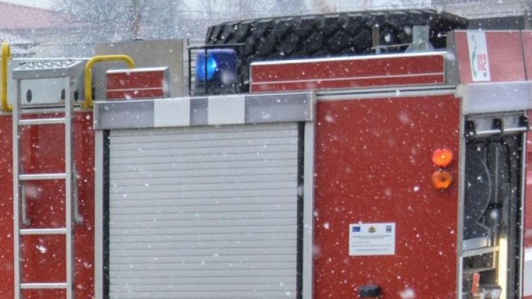 Снимка: архив Булфото