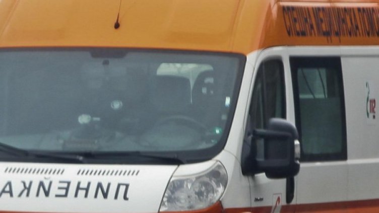 Снимка: Архив, Булфото