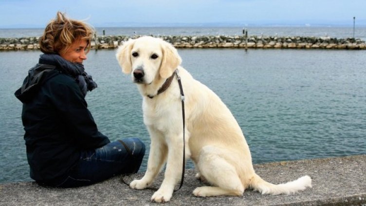 Снимка: Pixabay