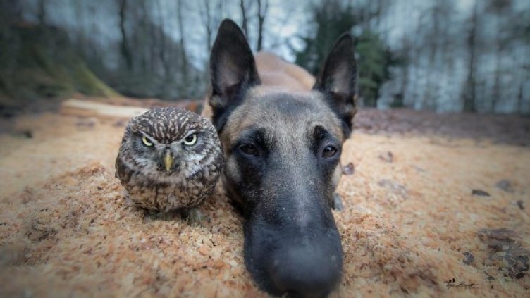 Снимка: Instagram