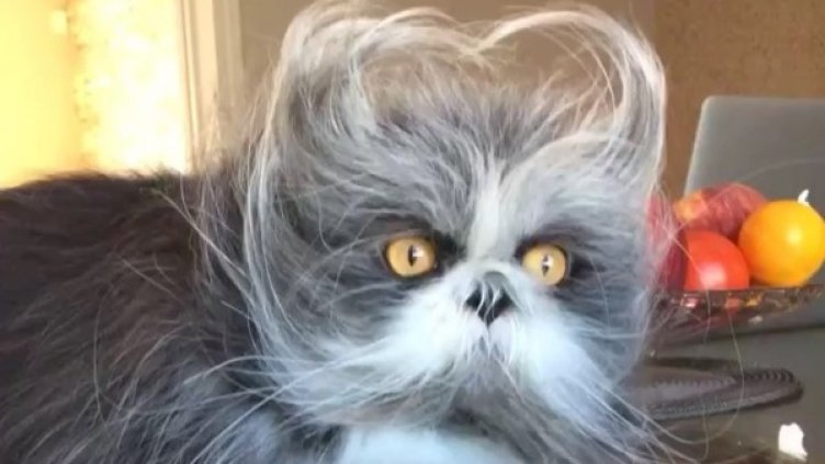 Снимка: Instagram