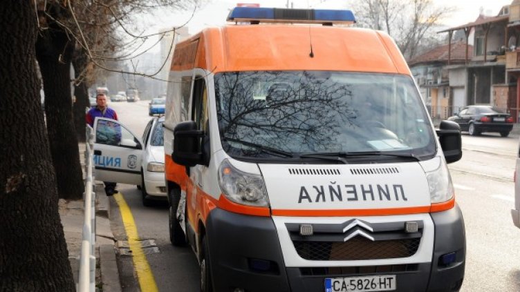 Снимка: Bulfoto, архив