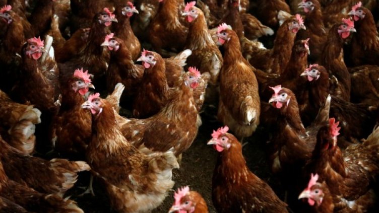 Снимка: Reuters, архив