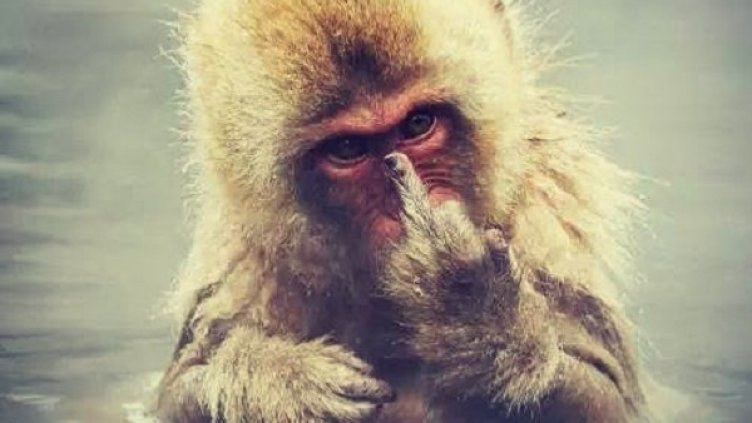 Снимка: Instagram