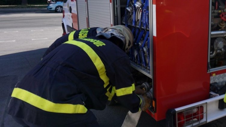 Снимка: Булфото, архив