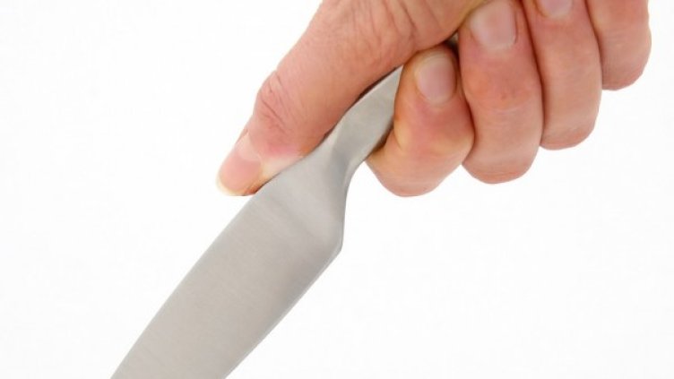 Снимка: Pixabay