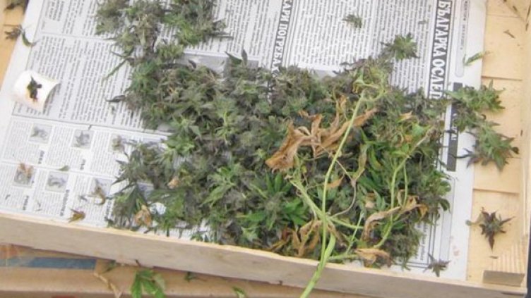 Снимка: Булфото, архив