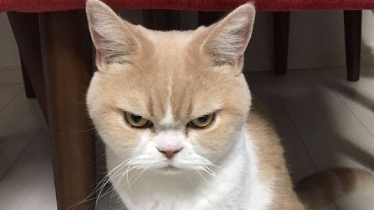 Снимка: Instagram