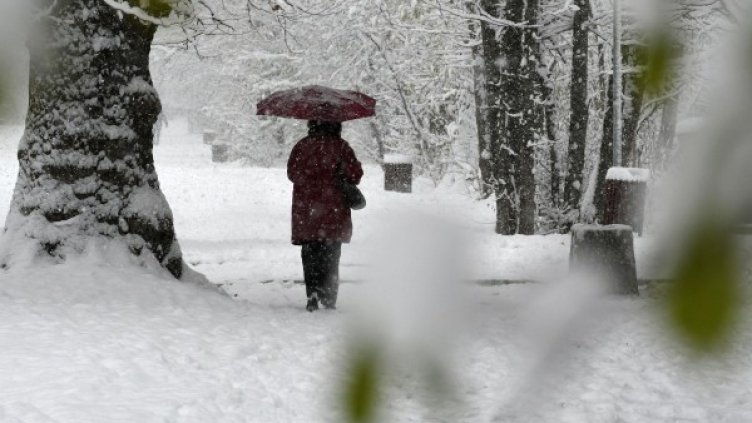 Снимка: архив, Булфото