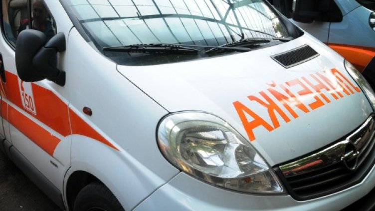 Снимка: архив "Булфото"