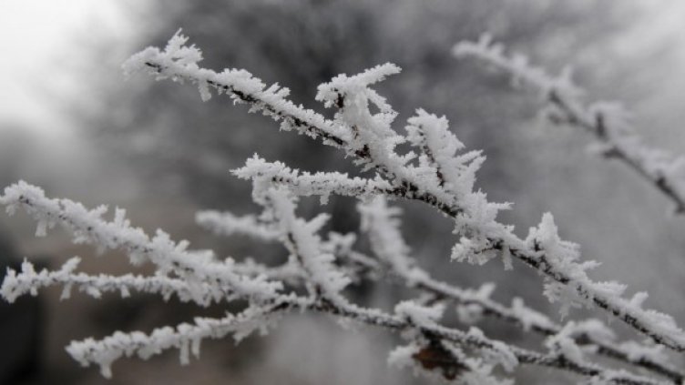 Снимка: архив, БулФото