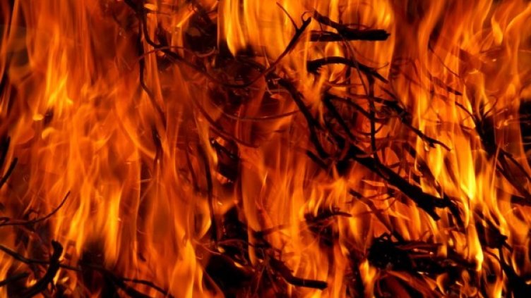 Снимка: Pixabay