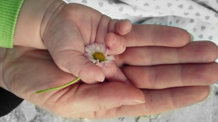 Снимка: pixabay.com