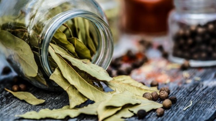 Снимка: pixabay