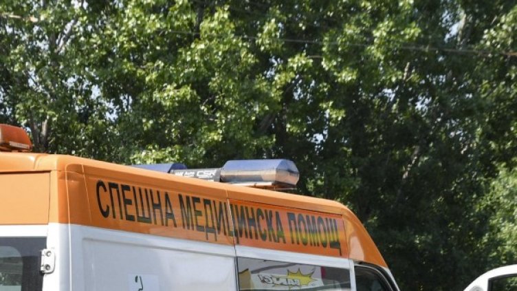 Снимка: архив, Булфото