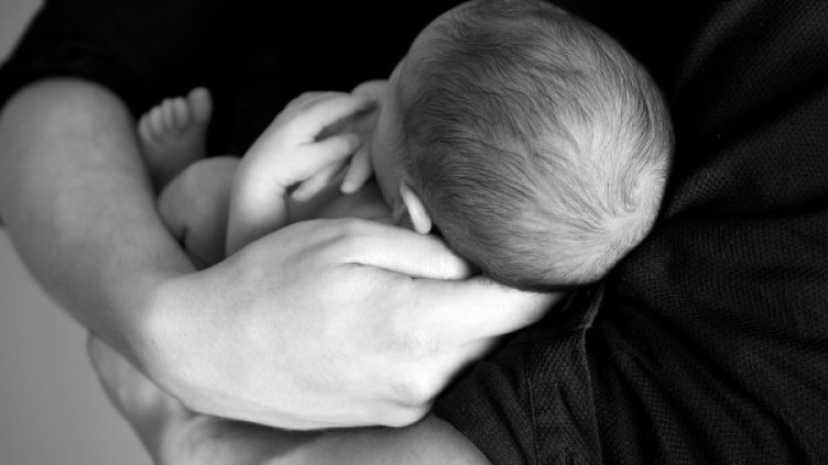 Снимка: Pixabay