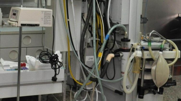 Снимка: архив, БулФото