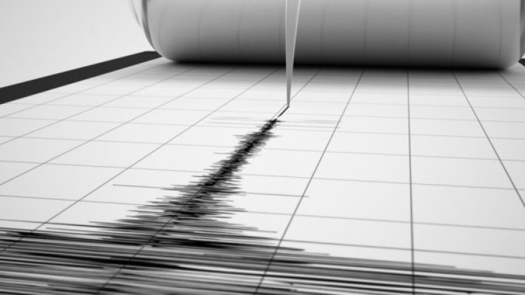 Снимка: Нова, архив