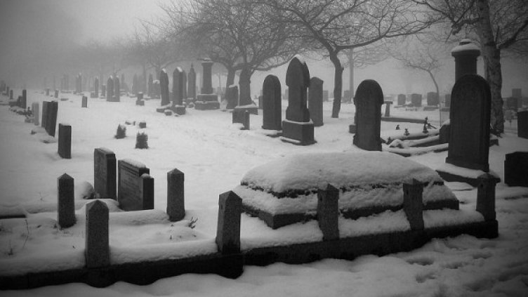 Снимка: visualhunt.com