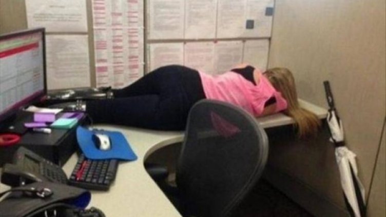 Снимка: happyfacts