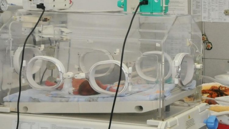 Снимка: архив "Булфото"