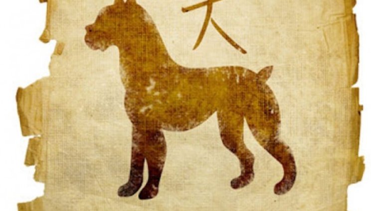 Източник: Pixabey