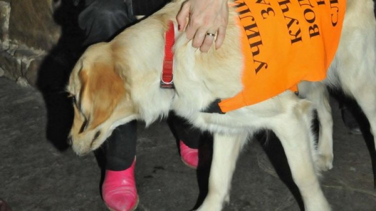 Снимка: архив, Булфото