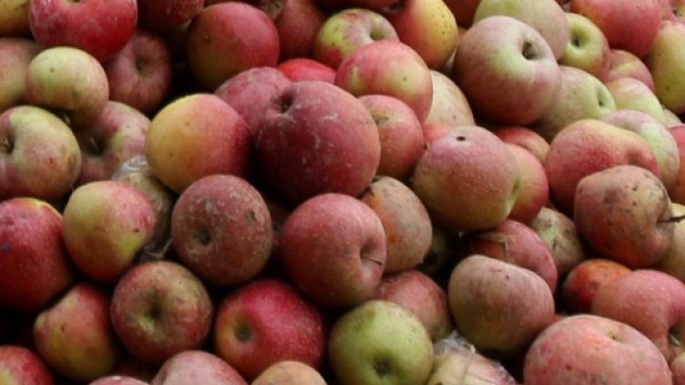 Снимка: Reuters, архив