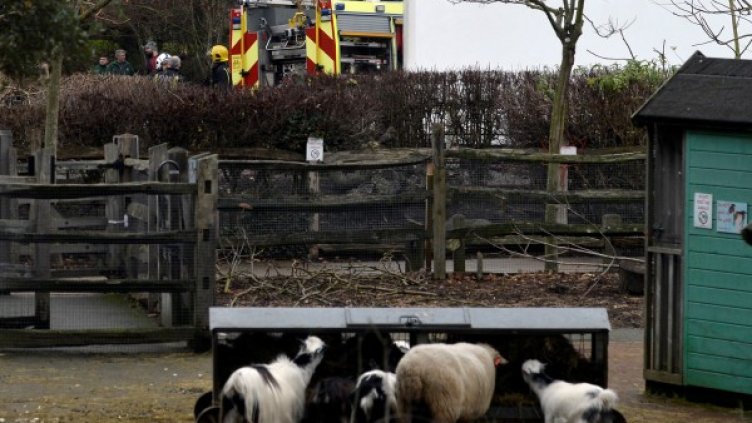 Снимка: Reuters