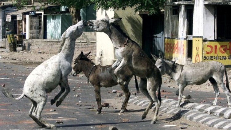 Снимка: Rеuters