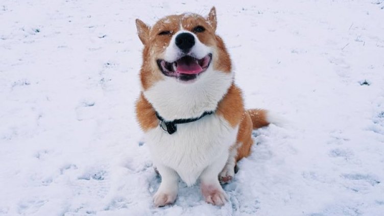 Снимка: Instagram