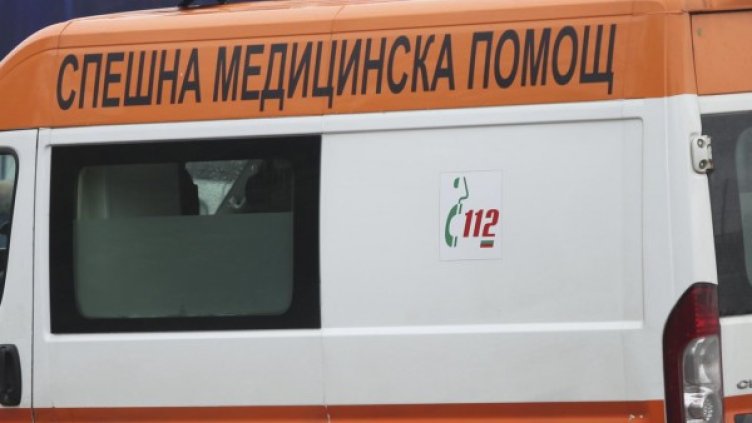 Снимка: Архив, Булфото