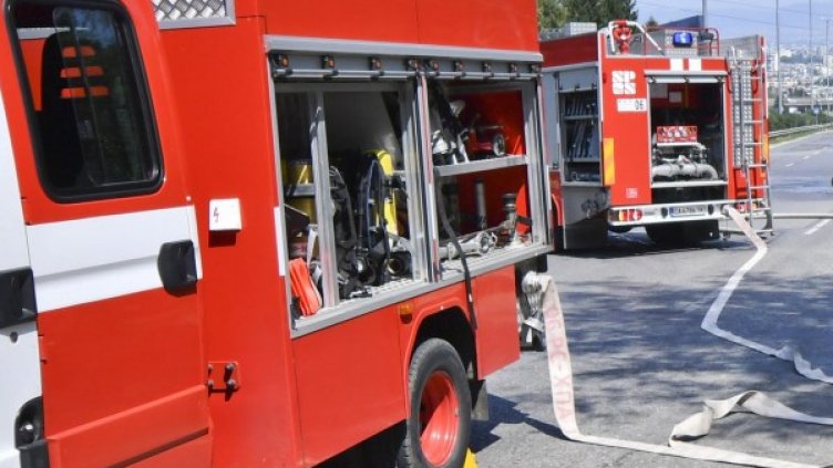 Снимка: Архив, Булфото