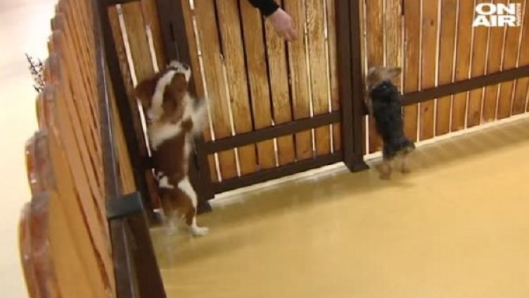 Снимка: Bulgaria ON AIR