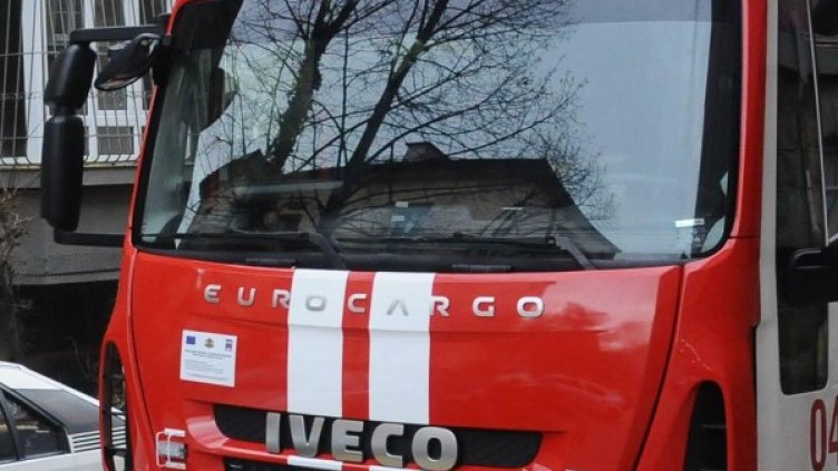 Снимка: архив, БулФото