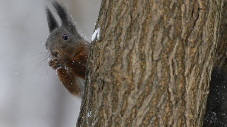 Снимка: архив Reuters