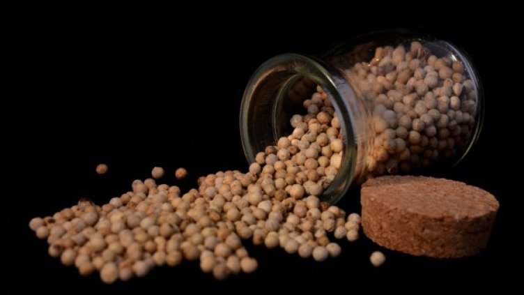 Снимка: pexels