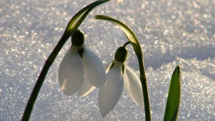Снимка: архив, Булфото