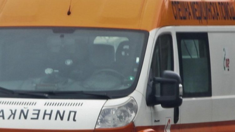 Снимка: Архив, Булфото