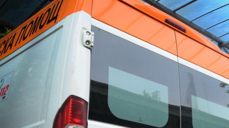 Снимка: Архив, Булфото