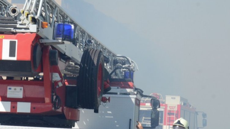 Снимка: Архив, Булфото