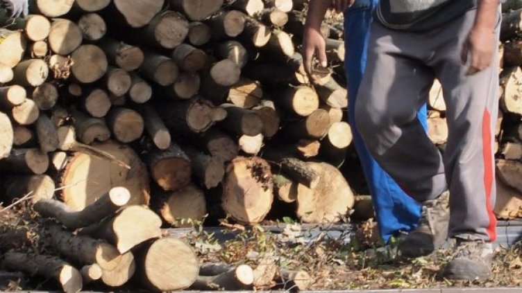 Снимка: архив, БулФото