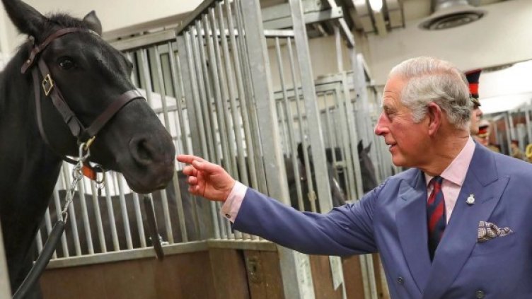 Снимка: Instagram