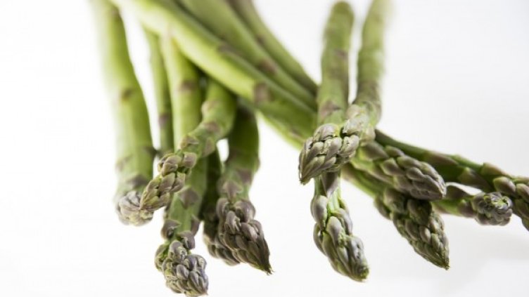 Снимка: Pixabay