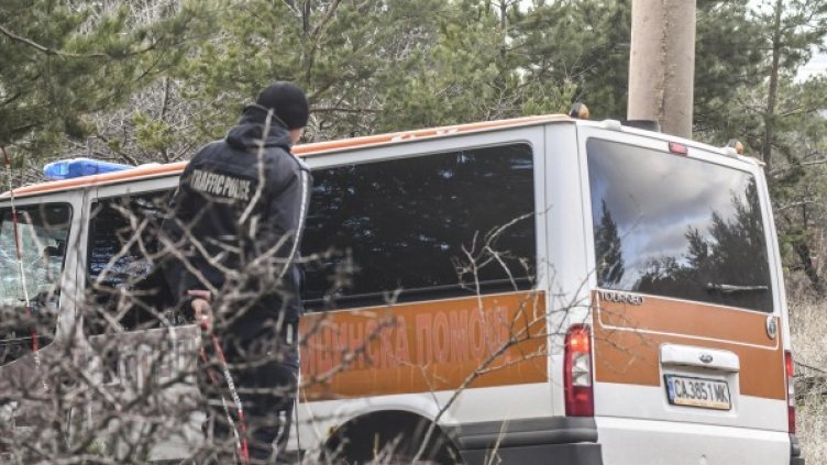 Снимка: Булфото